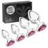 Metal Butt Plug Set