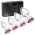 Metal Butt Plug Set (Heart-Shaped Charm)